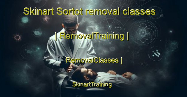 Skinart Sortot removal classes | RemovalTraining | RemovalClasses | SkinartTraining-Sudan